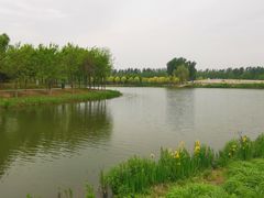 -东郊湿地公园
