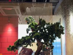 -煲宫(华润万象城店)