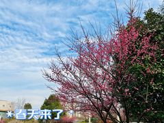 -桐乡植物园