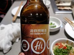 -海底捞火锅(公益西桥店)
