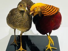 -中国湿地博物馆