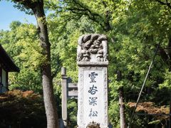 -灵谷景区