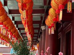 -新加坡佛牙寺龙华院
