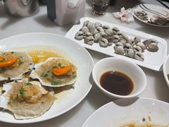 扇贝-华盛丰温州大排档(东三环南路店)