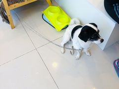 -平行世界·猫咖(首经贸店)