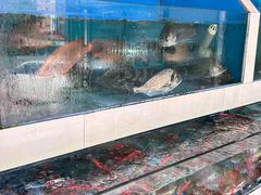 -原龙海鲜大排档(美食地标店)
