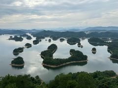 -宝荣鱼馆·临湖之宴(千岛湖店)