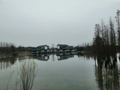 -白鹭湾湿地公园