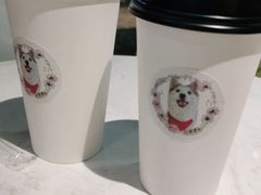 -Husky Go! 哈士奇体验馆·宠物咖啡厅狗咖