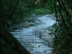 -燕晗山郊野公园