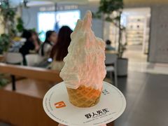 -野人先生Gelato(上海长宁龙之梦店)