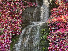 -灵栖洞天