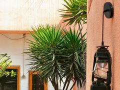 -三圣花乡旅游区