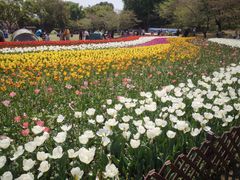 -苏州上方山国家森林公园