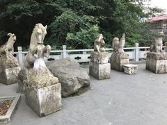 -藏龙百瀑风景区