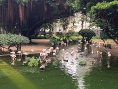 -九龙公园