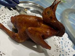 -石岐乳鸽村(南海第三分店)