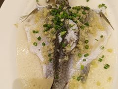 -聚福山莊·寻味顺德(北滘店)