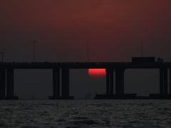 -宝安西湾红树林湿地公园