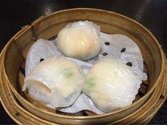 -糖朝(尖沙咀店)