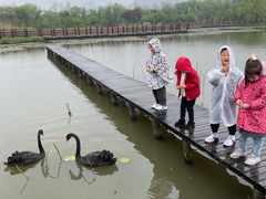 -长兴太湖图影湿地文化园