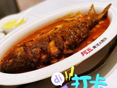 红烧黄河大鲤鱼-阿五黄河大鲤鱼(海尚店)