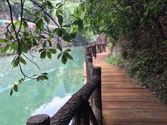 -花溪风景区