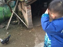 -湖南东洞庭湖国家级自然保护区