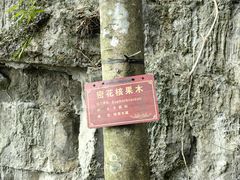 -牛角寨瀑布景区