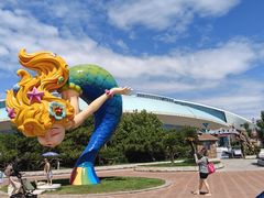 -渔岛海洋度假区