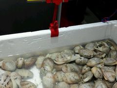-蚝专家(北滘店)