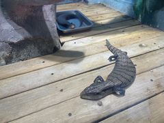 -石家庄市动物园