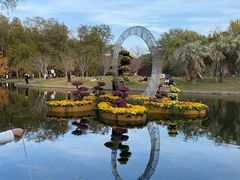 -共青国家森林公园-南大门停车场