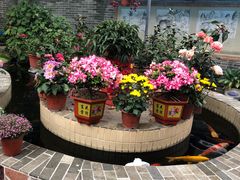 -周大娘牛乳(旧寨古村总店)