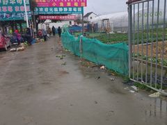 -小鱼草莓采摘园农家乐·小鱼餐厅