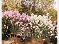 -永定河休闲森林公园