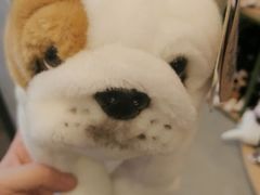 -Behring World of Animals(上海自然博物馆店)