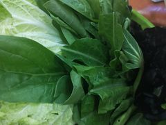 -晓林火锅(安定门店)