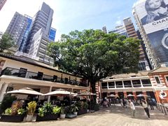 -大馆(前中区警署建築群)