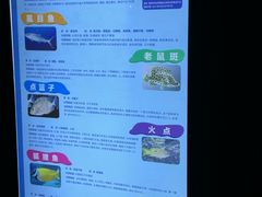 -华夏文旅西安度假区