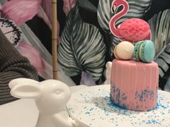 火烈鸟-随心小姐