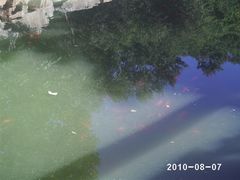 -石老人观光园