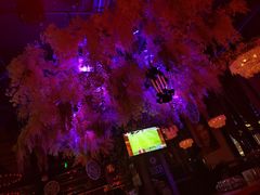 -音乐房子(鎏嘉码头店)