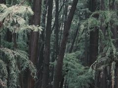 -兰拓相机租赁·二手(杭州店)