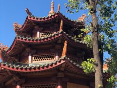 -广场正宗原汁薏米店