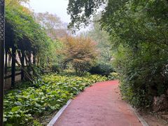 -大连植物园