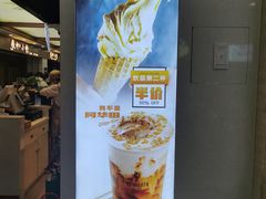 -野人先生现做冰淇淋(西安赛格店)