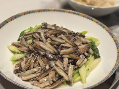 -新光酒家·河豚·海鲜·蟹料理(浦东店)
