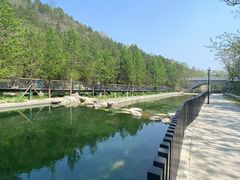 -白水寺森林公园