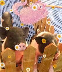 -萌宠亲子动物乐园(槐房万达店)